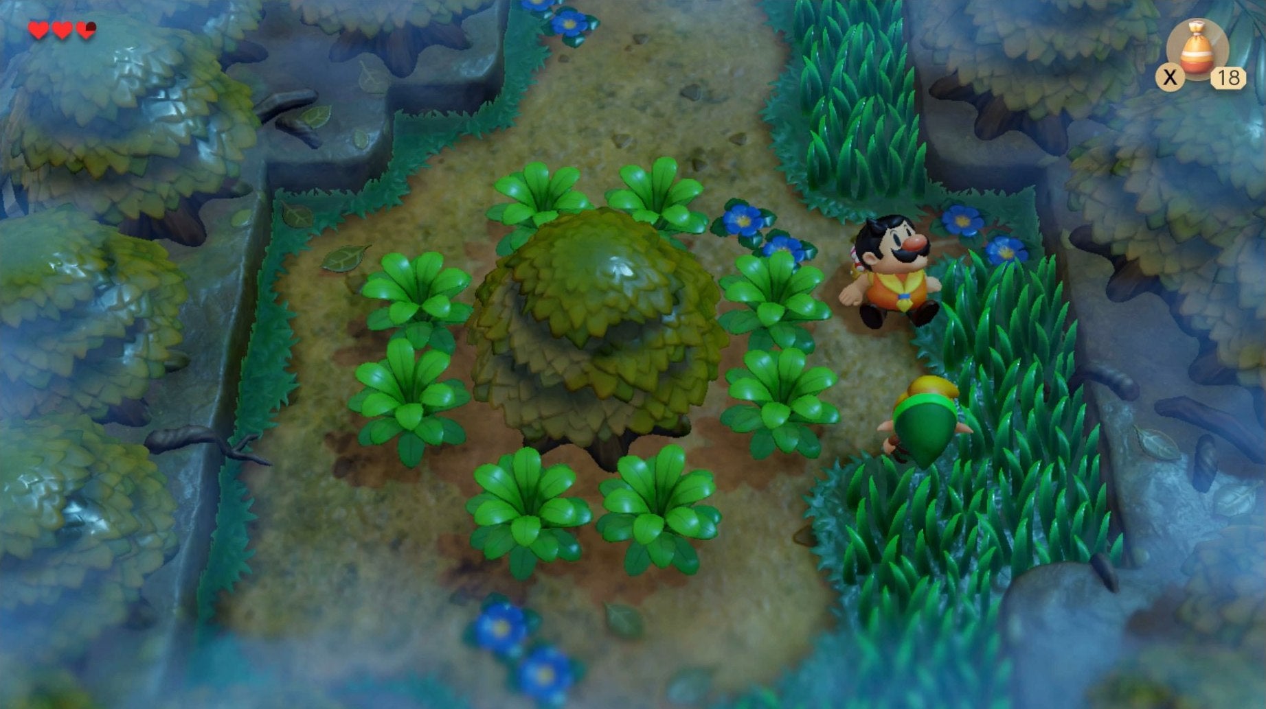 Zelda Link's Awakening Mysterious Forest How to Get Past the Raccoon